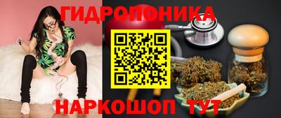 первитин Можга