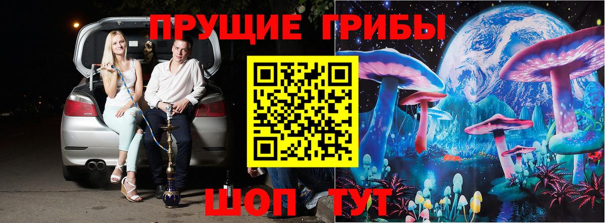 Большой Камень  Галлюциногенные грибы Cubensis  где можно купить   Вход с VPN 